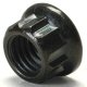 12 Point 8mm 1.25 Thread Metric Nuts For Engine, Transmission, Exhaust, Header, Or Muffler 20 Nuts